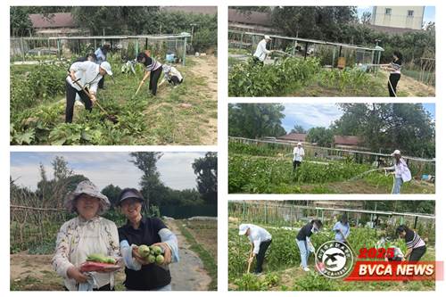 https://news.bvca.edu.cn/__local/9/BE/DE/34685BA037C9149A38937C9793B_CC9DFD19_90C97.jpg