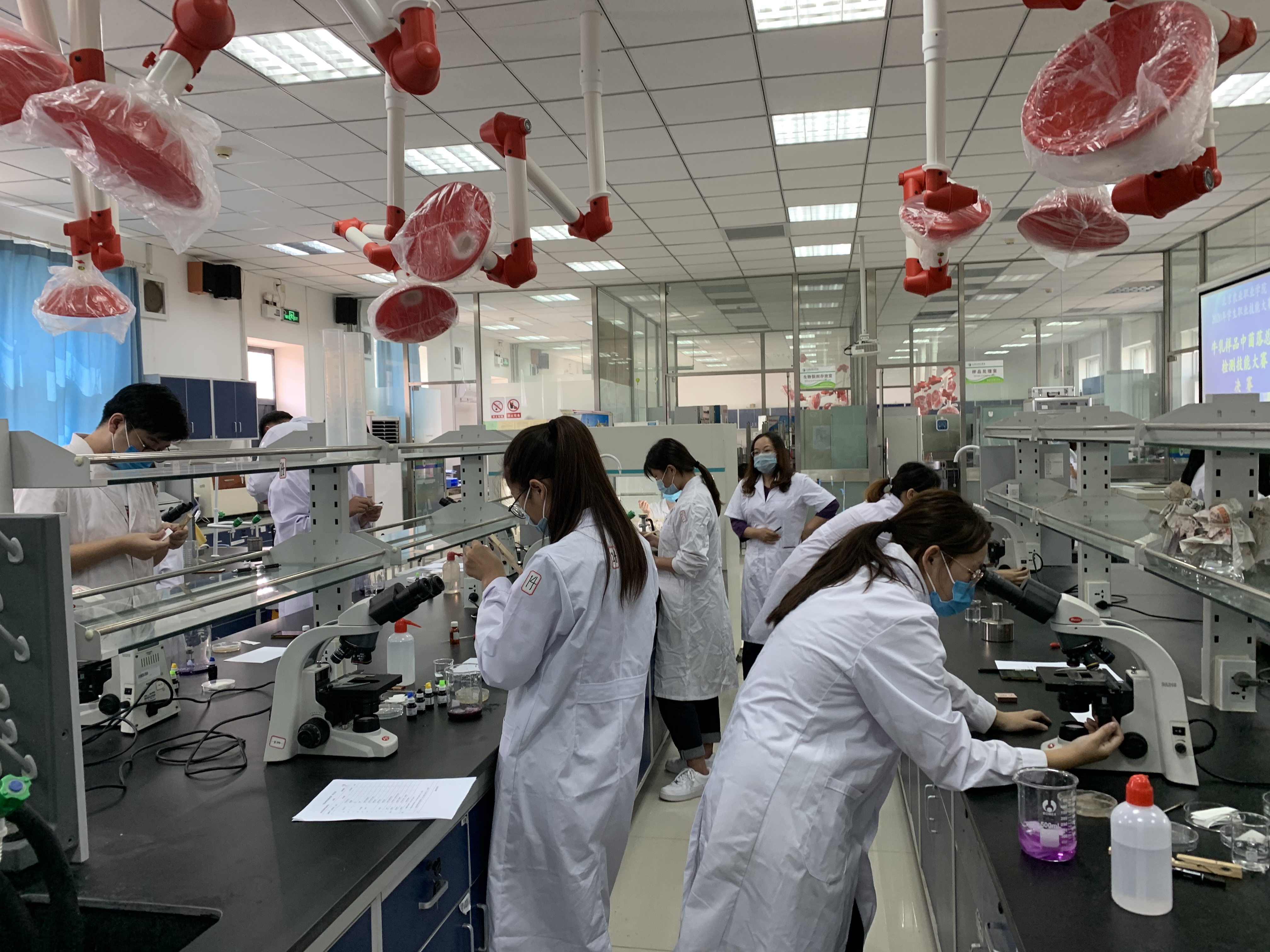 实验实训环境-食品与生物工程系