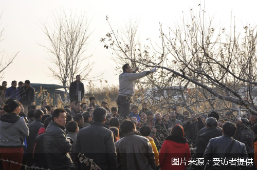 图片起首：受访者提供